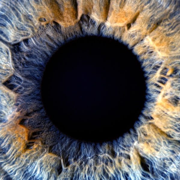 close up of a retina 